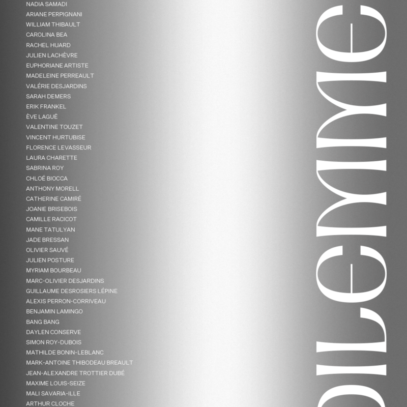 Pica Magazine 12 - Dilemme