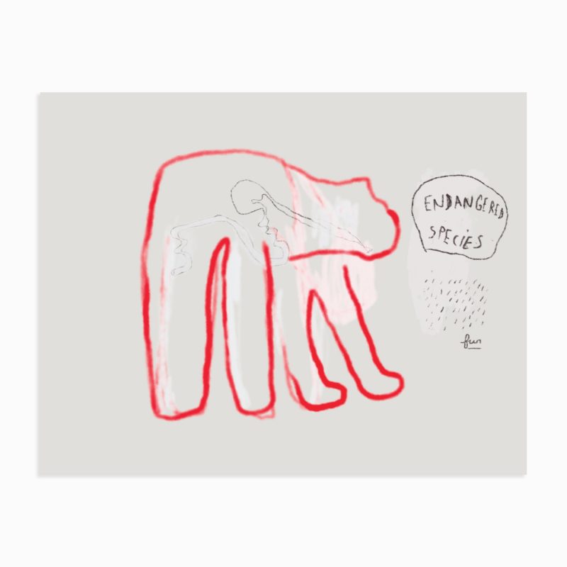 Endangered Species 003