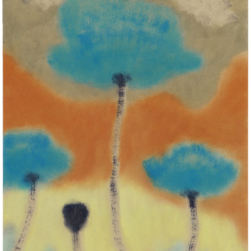 Azure Flowers, Vinna Bégin