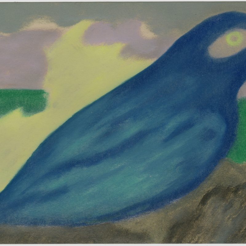 Blue Bird, Vinna Bégin