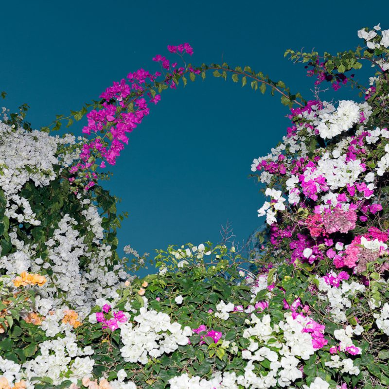 Playa Larga, François Ollivier