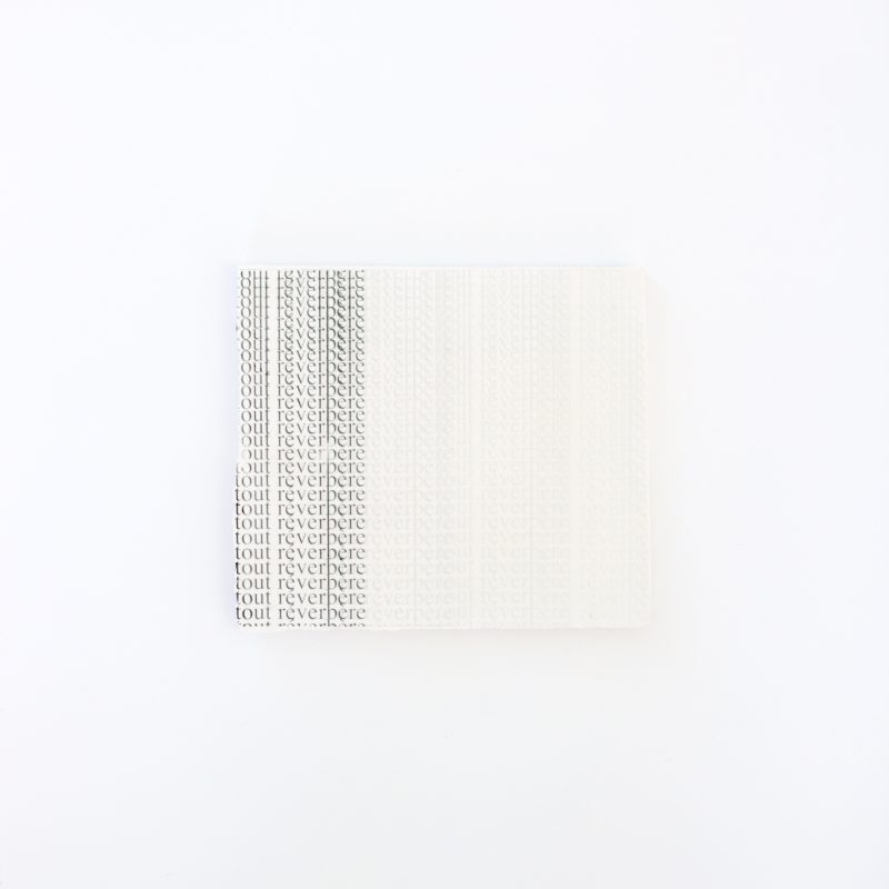 J’avais l’impression de fabriquer des mains pour cette inquiétude, mais, adossée au panorama de la lumière, elle est devenue un ciel traversé par toutes choses. 14/32