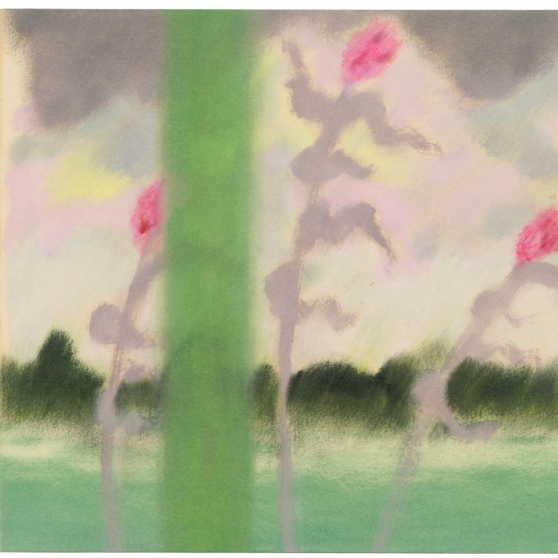 Summer Storm, Vinna Bégin