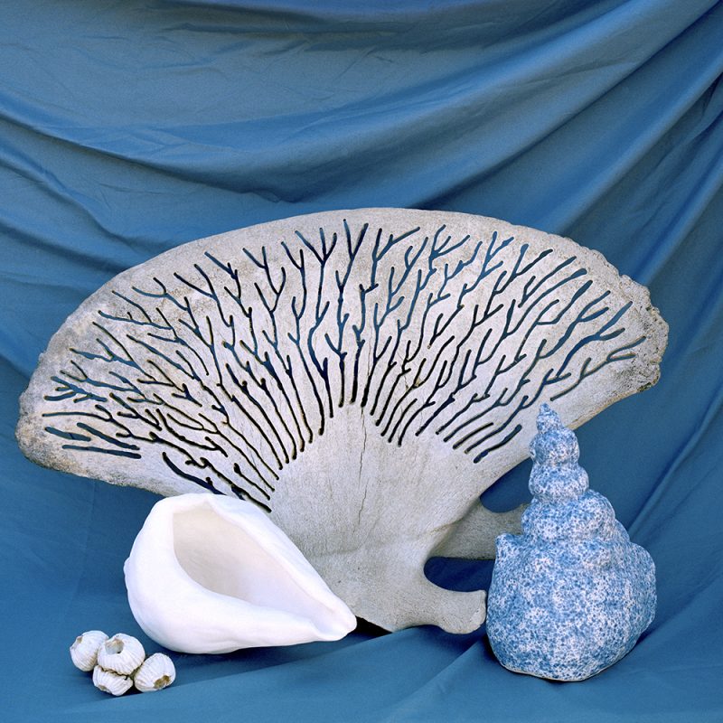 Nature morte bleue, Vicky Sabourin