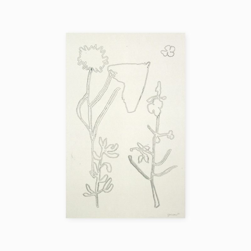 Shapes on the Island