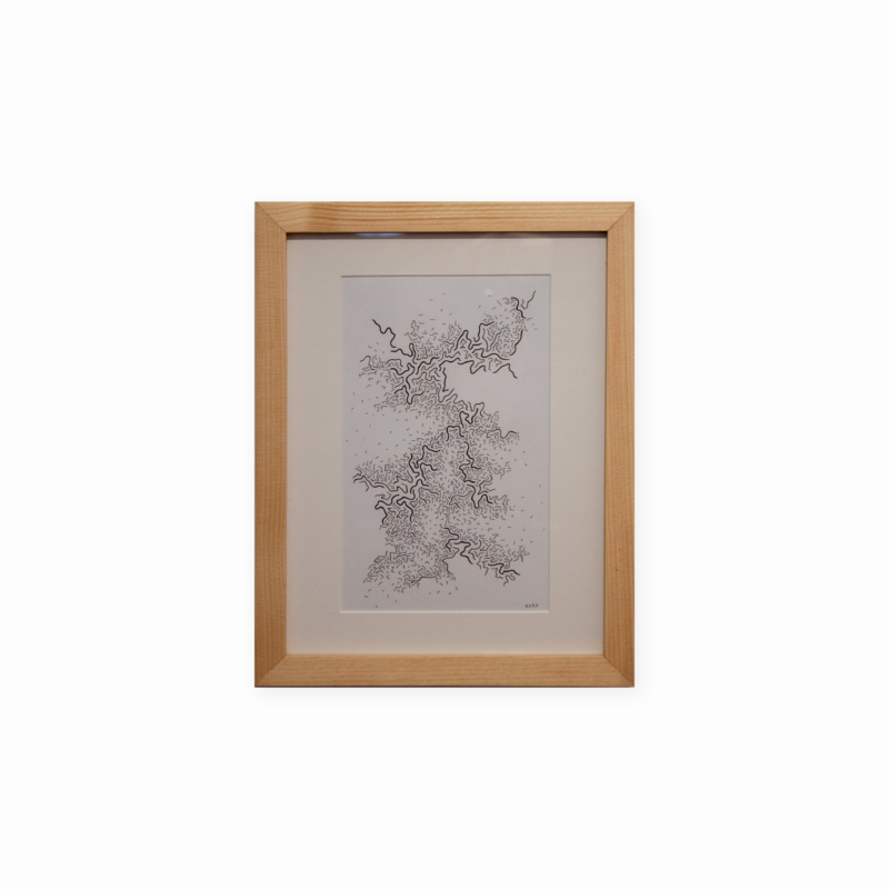 Danse des Étourneaux XXXV