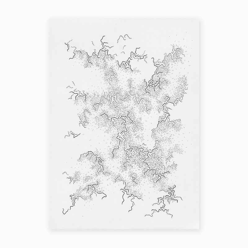 Danse des Étourneaux XXXIX