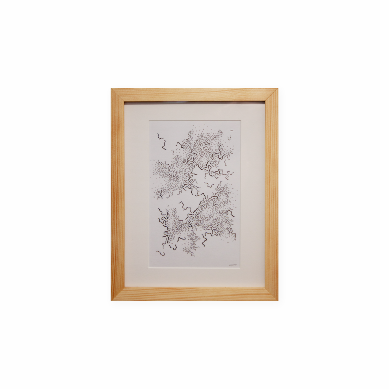 Danse des Étourneaux XXXVIII