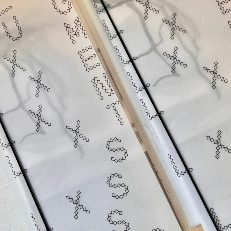 Publication Fil Flux Figments