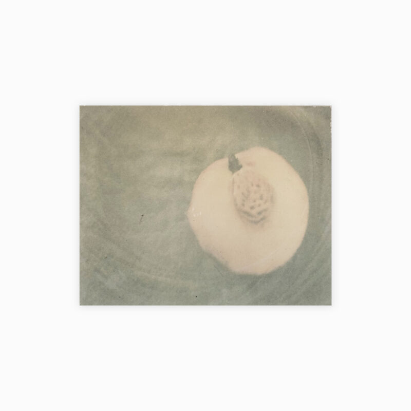 J’AVAIS L’IMPRESSION DE FABRIQUER DES MAINS POUR CETTE INQUIÉTUDE, MAIS, ADOSSÉE AU PANORAMA DE LA LUMIÈRE, ELLE EST DEVENUE UN CIEL TRAVERSÉ PAR TOUTES CHOSES. 9/ 32