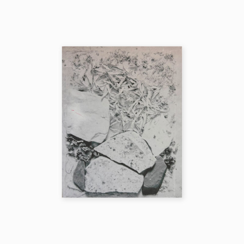 J’AVAIS L’IMPRESSION DE FABRIQUER DES MAINS POUR CETTE INQUIÉTUDE, MAIS, ADOSSÉE AU PANORAMA DE LA LUMIÈRE, ELLE EST DEVENUE UN CIEL TRAVERSÉ PAR TOUTES CHOSES. 8/32