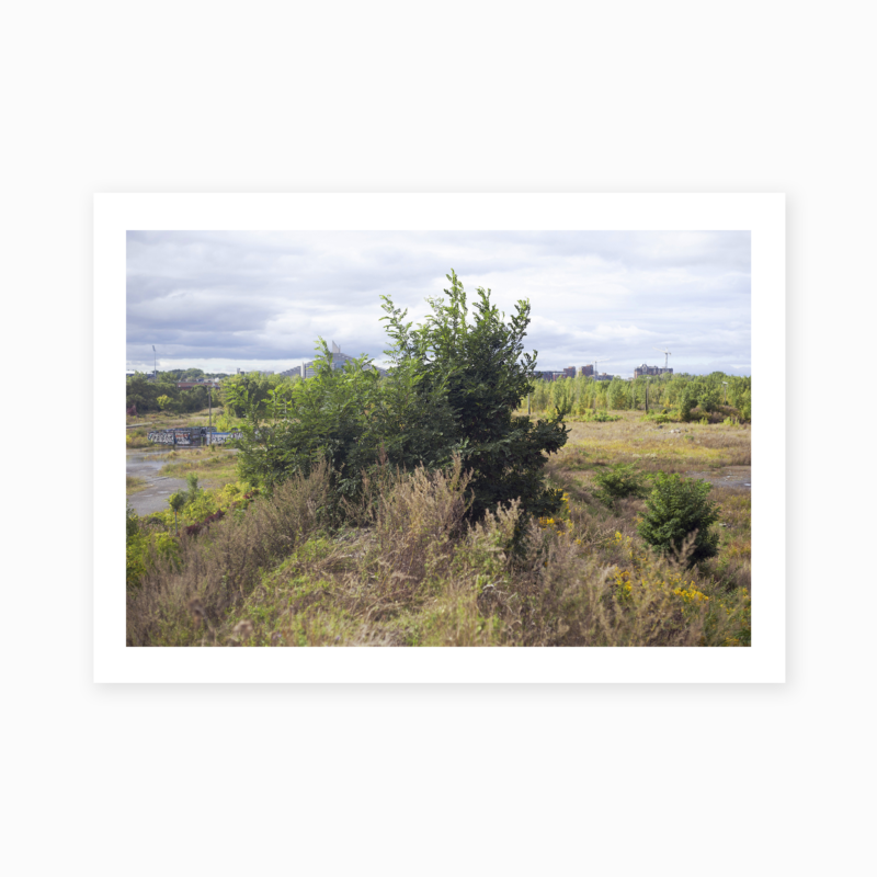 Crète en équilibre