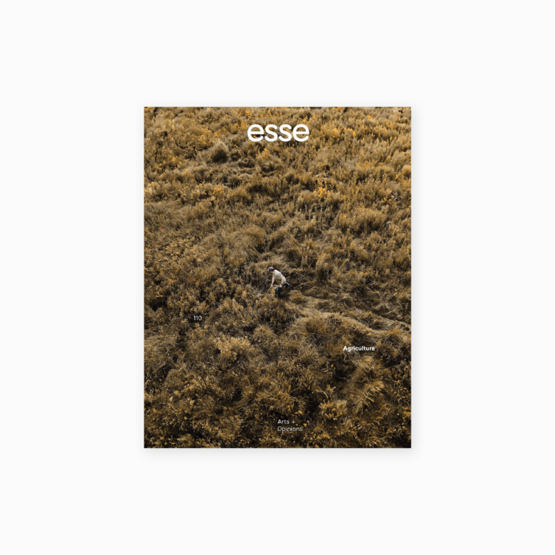 ESSE 110 - Agriculture
