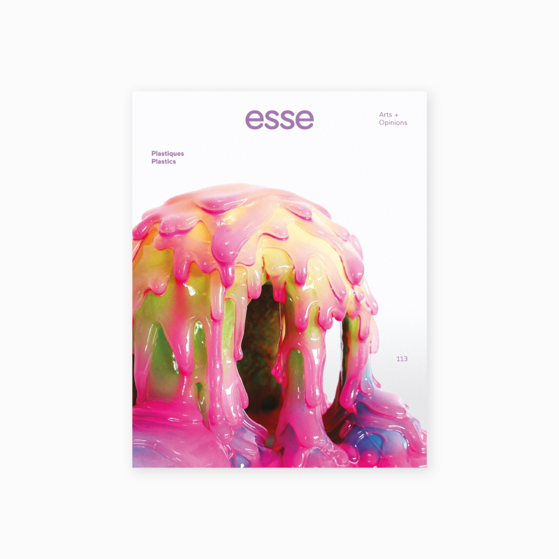 Esse 113 - Plastiques