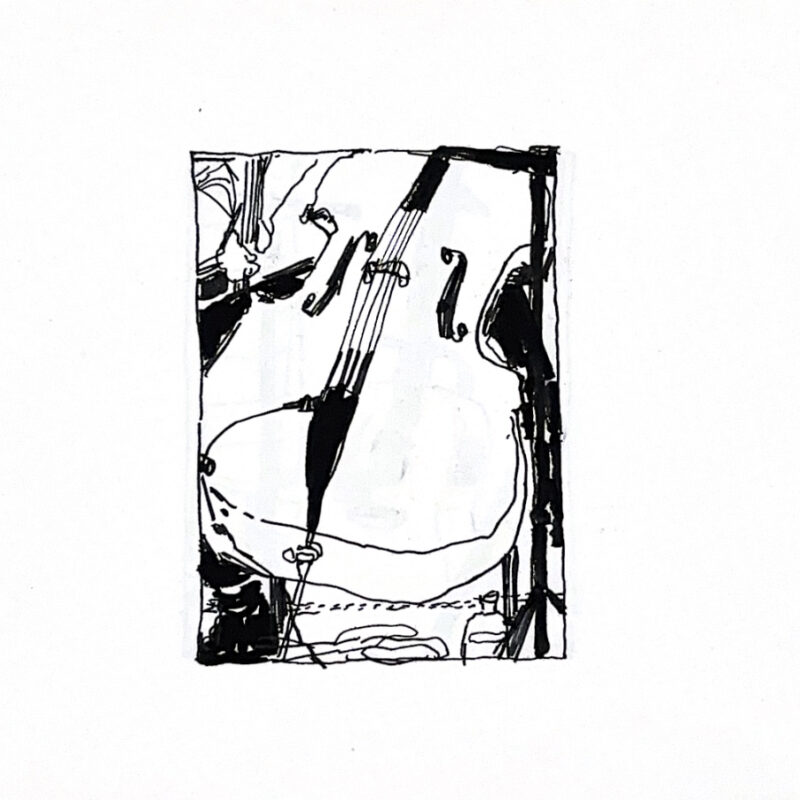 Double Bass in Pen