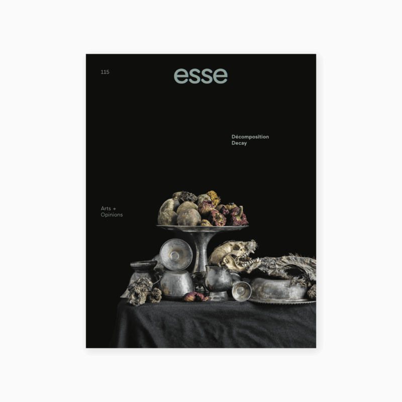 ESSE 115 - Décomposition